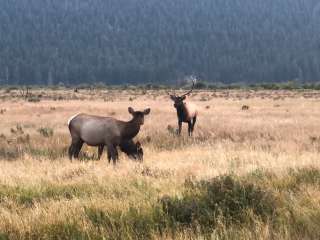 Moraine Loop Campground