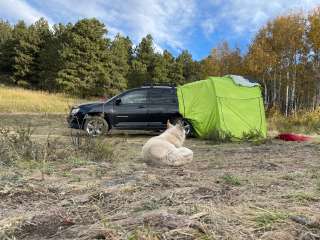 North Boulder Creek Dispersed Camping 