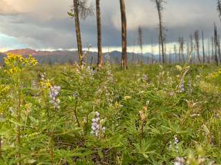 NFSR 120 Dispersed Site - Arapaho National Forest