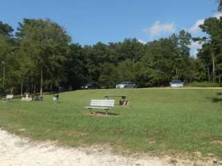 Williams Hollow Campground