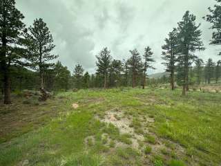 Elkhorn Creek Dispersed Camping