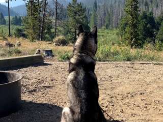 Denver Creek Campground - TEMPORARILY CLOSED