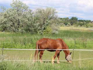 M & M Equestrian Center