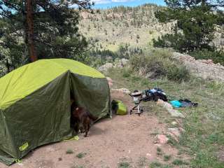 Horsetooth Mountain - Backcountry Site 2