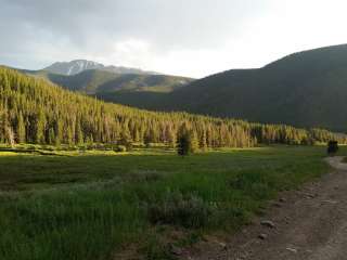 North Fork Swan Road #354 - Dispersed Camping