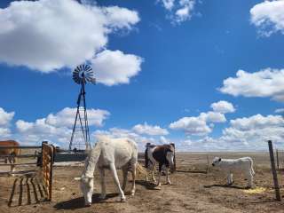 Serenity Ranch 