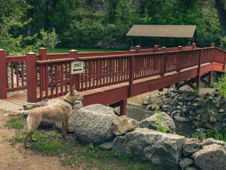 A-Lodge Boulder - Tent Sites