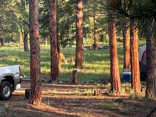 Meridian Campground