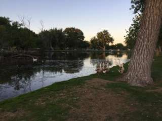 Riverside Park Campground