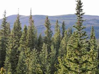 Caribou Townsite Dispersed