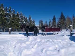 Horse Farm at the Base of the Rockies!