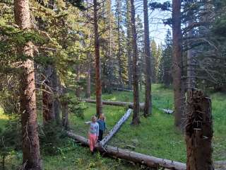 Bear Lake Campground