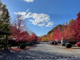 Tuckaseegee RV Resort