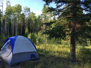 Freeman Reservoir Campground