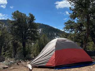 BLM Cottonwood Campground