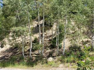 Dispersed Overlook off Hwy 40