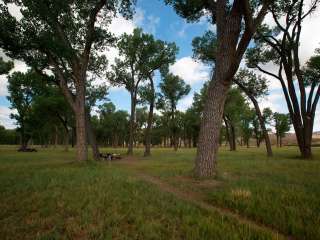 Deerlodge Park Campground — Dinosaur National Monument