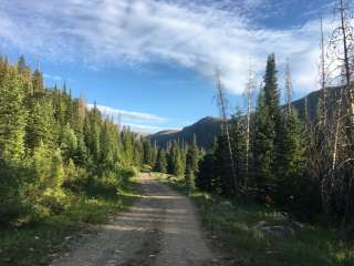 Seedhouse Group Site - Medicine-bow Routt Nf (CO)