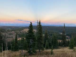 FR 302 Rabbit Ears Pass - dispersed camping 