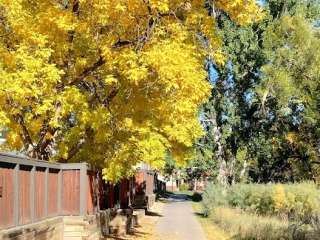 Spring Creek Road