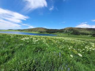 Meadow Lake Campground