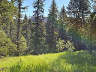 Buffalo Ridge Trailhead