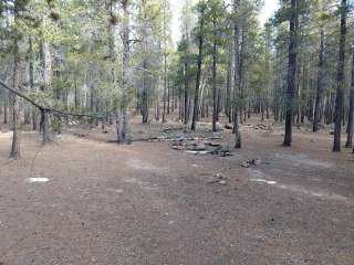 King Creek Trailhead