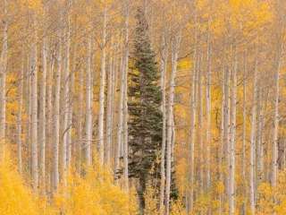 Jumbo Campground — Jumbo Reservoir State Wildlife Area