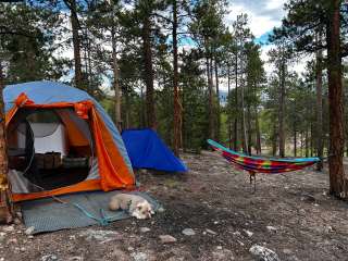 Twin Lakes - Dispersed Camping