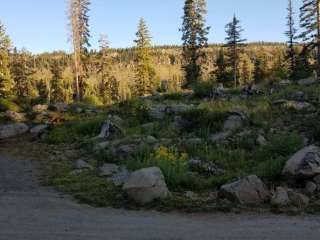 Little Bear Campground