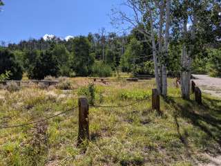 Mud Springs Campground