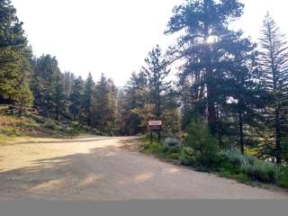 North Bank Campground