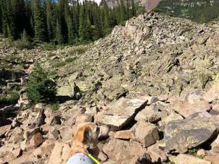 Maroon Bells-Snowmass Wilderness Dispersed Camping