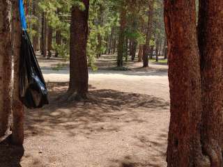 Halfmoon West Campground