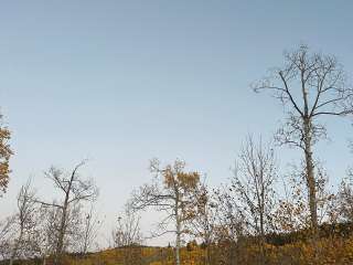 Brush Creek Tent City