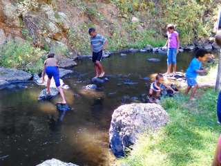 Trout Creek North of Lost Lake