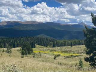 Mueller State Park