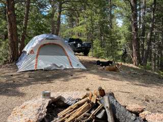 Mount Herman Road Dispersed Camping