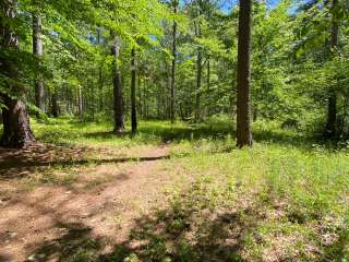 Chinnabee Silent Trail Backcountry Site 2