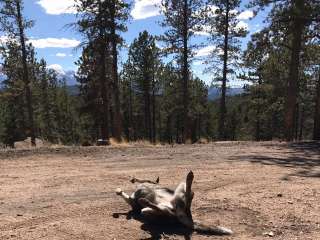 Rampart Range Recreation Area