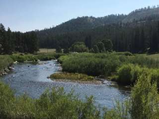 Happy Meadows