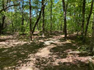 Pinhoti and Skyway Loop Intersection Campground