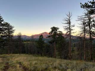 Rampart Range Area Dispersed Campsite