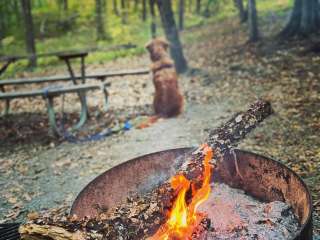 Backcountry Site — Oak Mountain State Park