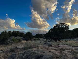 Fourmile Travel Management Area 