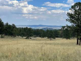 Forest Service Road 250 Dispersed