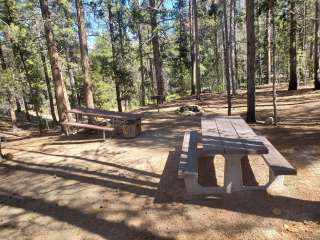 Printer Boy Group Campground