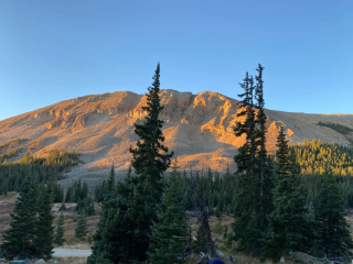 Wandering Moose Meadows