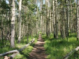 Kenosha East Campground