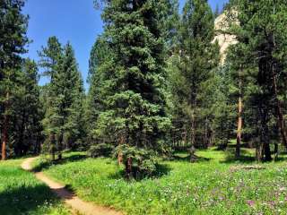 Pike National Forest Meadows Group Campground